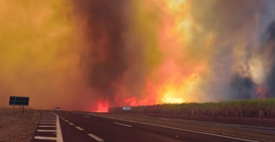 Aumenta para nove o número de cidades com focos ativos de incêndio em SP