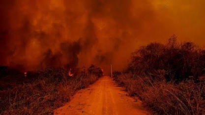 PF investiga 52 incêndios no Brasil, mas não vê ação orquestrada até agora