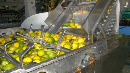 Preço do suco de laranja dispara, e consumidor busca alternativa