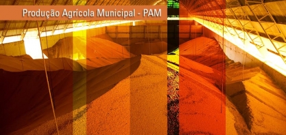 Sorriso (MT) e São Desidério (BA) têm maior valor de produção agrícola