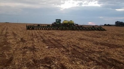 Conab projeta alta de 12,8% na nova safra de soja, mas alerta para clima 