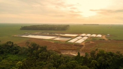 Fazenda em Mato Grosso mostra poder dos porcos para energia limpa