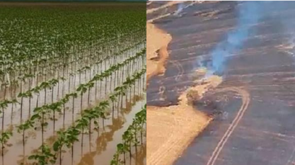 Safra de 2024 deve cair 6% com problemas climáticos, prevê IBGE