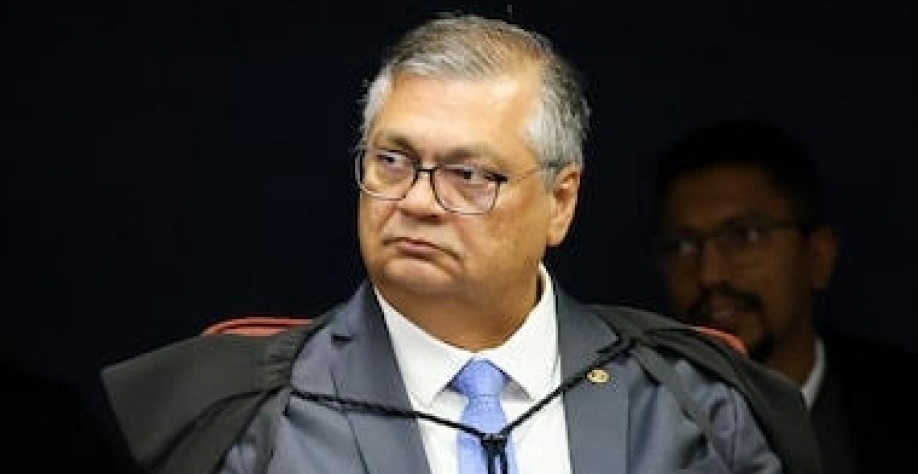 Decisões de Dino no combate ao fogo retomam protagonismo do STF na pandemia