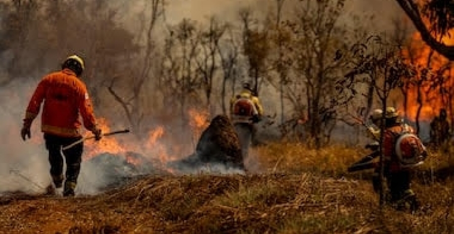 Desmatamento e crise climática é a prioridade com menor valor no Orçamento