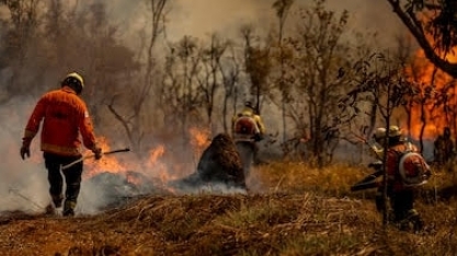 Desmatamento e crise climática é a prioridade com menor valor no Orçamento