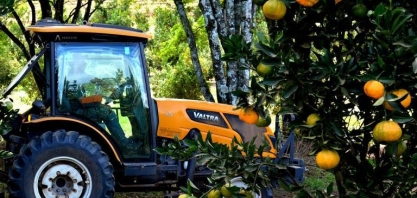 Preço do suco de laranja sobe e afeta indústria de 'soft drinks'