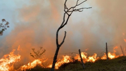 Delegado da PF diz que há indícios de ação coordenada em incêndio