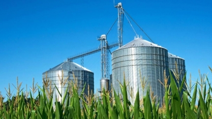 Inpasa investirá R$ 1,2 bilhão em usina de etanol de milho na Bahia