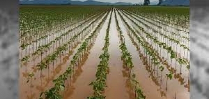 A reinvenção da agropecuária gaúcha - Por Gustavo Inácio de Moraes