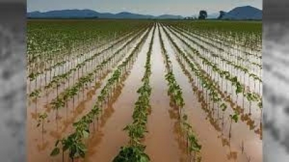 A reinvenção da agropecuária gaúcha - Por Gustavo Inácio de Moraes