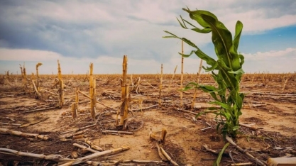 Uma agenda positiva para o agro no clima
