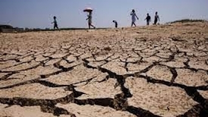 Cerrado já está mais quente e seco devido ao desmatamento