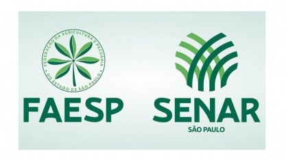 TRT-2 determina a exibição de documentos da chapa que teve eleição anulada