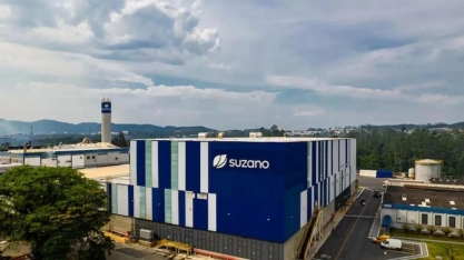 Suzano reverte prejuízo e lucra R$ 3,237 bilhões no 3T24,acima do esperado