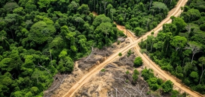 Área de extração ilegal de madeira cresce 19% na amazônia em um ano