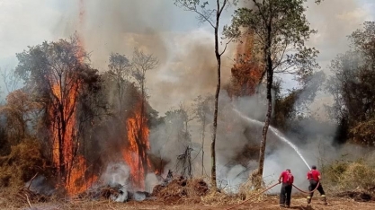 Lula encaminha projeto que aumenta pena para causadores de incêndios