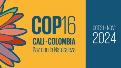 Brasil chega à COP16 sem aprovar plano de metas da biodiversidade
