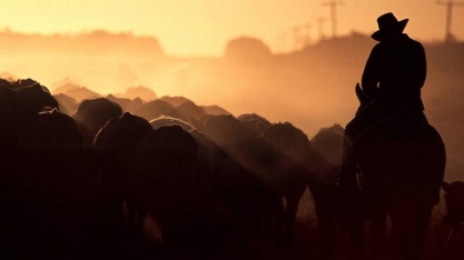 Brasil avança em mercados de carne dos EUA