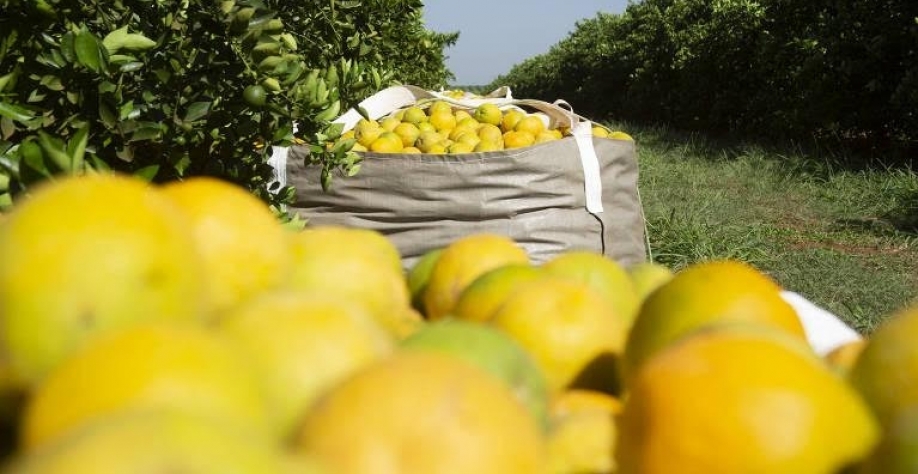 Fipe aponta que a alta dos alimentos supera a inflação média