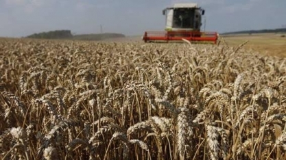 Produção de cereais cai na UE e necessidade de importação cresce