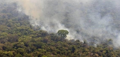 Degradação da amazônia por fogo explode em 2024 e é a maior em 15 anos