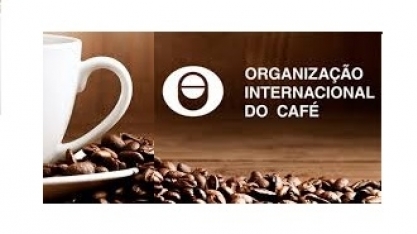 Exportações globais de café verde aumentaram 8,8% em agosto