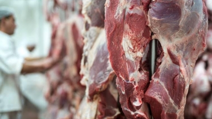 Valor médio de exportação de carne bovina dá salto de 42%