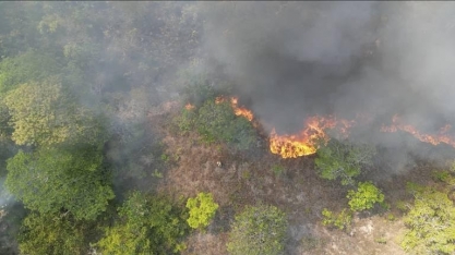 Incêndios aumentam em outubro, e área destruída no Brasil em 2024