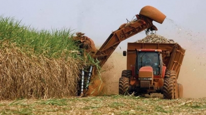 Mercado de crédito de carbono pode aumentar ganhos de produtores de cana