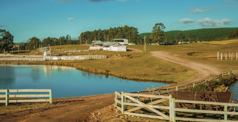 Procura do exterior por propriedades rurais no Brasil cresce