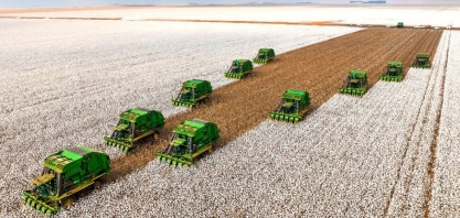 SLC Agrícola reporta prejuízo de R$ 17,2 milhões no 3T24