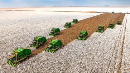 SLC Agrícola reporta prejuízo de R$ 17,2 milhões no 3T24