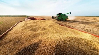 Soja atinge nível mais alto em um mês com alta de óleos vegetais
