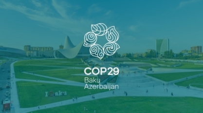 Países aprovam na COP29 regras de mercado global de carbono