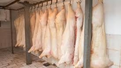 Exportação de carne suína sobe 40% e Filipinas viram maior destino