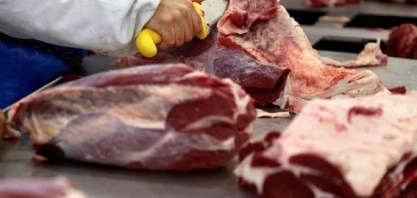 Carne bovina eleva inflação dos alimentos