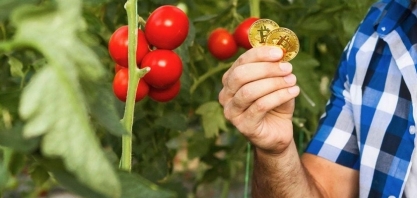 Como o Bitcoin Pode Revolucionar a Agricultura Global?