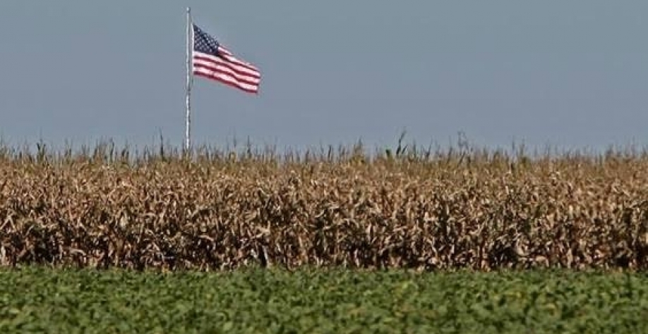 Agricultores americanos dão apoio a Trump, que deve prejudicá-los