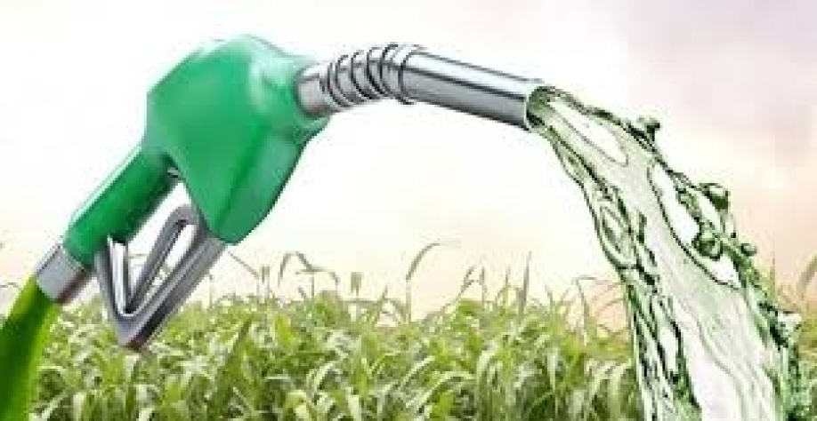 Etanol: Hidratado sobe 0,97% e anidro cai 1,38% na semana nas usinas de SP