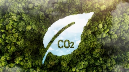 Entenda o projeto de lei do mercado de carbono aprovado no Senado