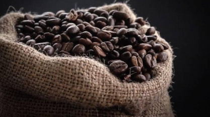 Brasil exporta recorde de 4,9 milhões de sacas de café em outubro