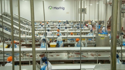Marfrig  reverte prejuízo, lucra R$ 79,1 milhões no 3T24