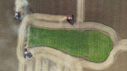Área de plantio de grãos tem o menor crescimento em seis anos