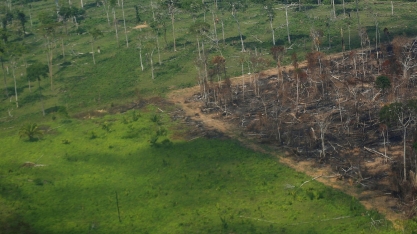 Desmatamento na amazônia cai 30,6%, com menor área devastada em 9 anos