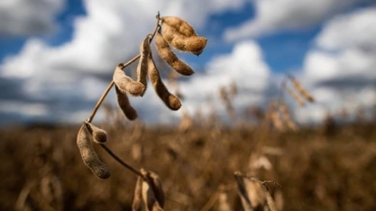 Valor Bruto da Produção da agropecuária deve recuar em 2024