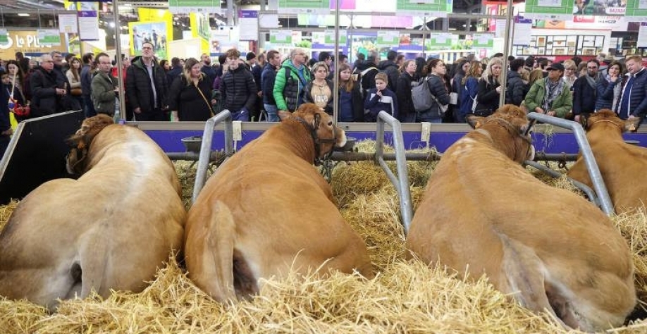 Barreira da França afeta bolso do consumidor europeu