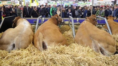 Barreira da França afeta bolso do consumidor europeu