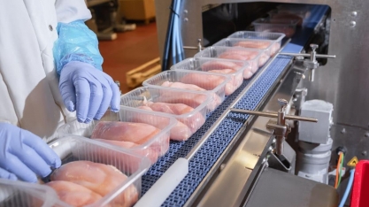 Receita com exportações de carne de frango crescem 32% em novembro