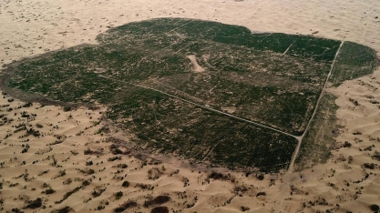 Por que terras férteis estão se tornando desertos